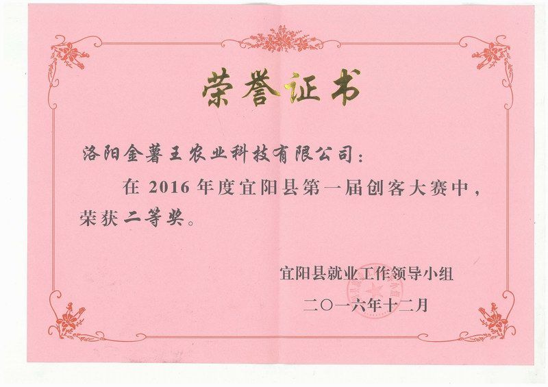 2016宜阳县第 一届创客大赛二等奖