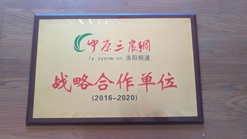 2016-2020中原三农网战略合作伙伴
