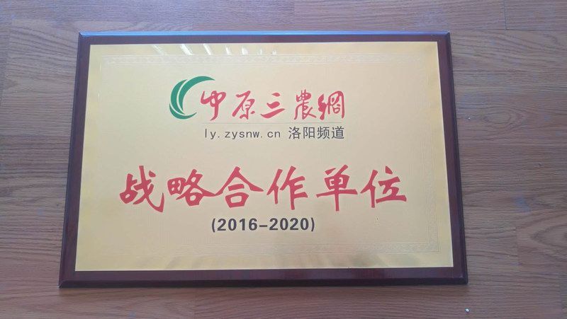 2016-2020中原三农网战略合作伙伴