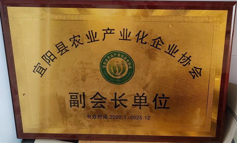 2022-2025宜阳县农业产业化企业协会副会长单位